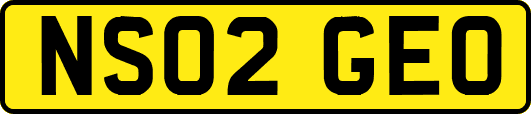 NS02GEO