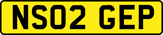 NS02GEP
