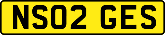 NS02GES