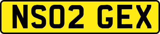 NS02GEX