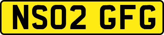 NS02GFG