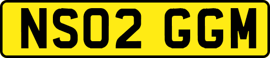 NS02GGM