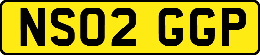 NS02GGP