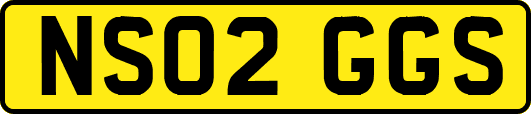 NS02GGS