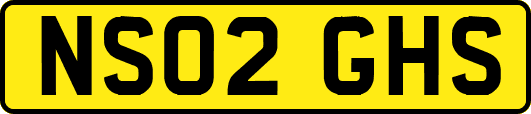 NS02GHS