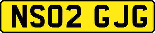 NS02GJG
