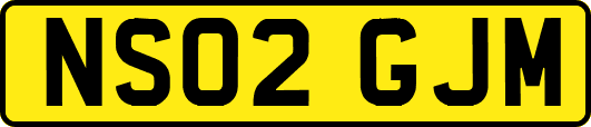 NS02GJM