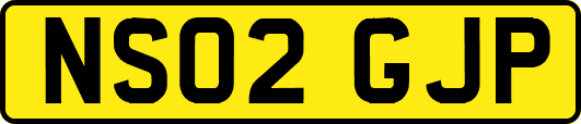 NS02GJP