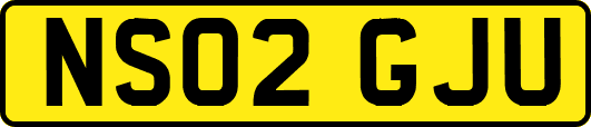 NS02GJU