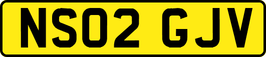 NS02GJV