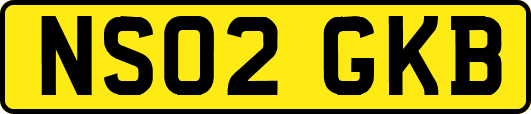NS02GKB