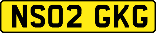 NS02GKG