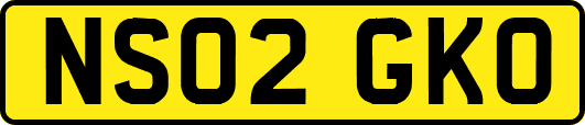 NS02GKO