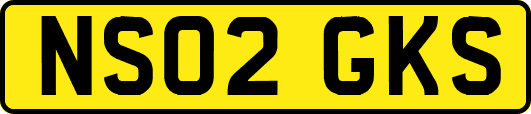 NS02GKS