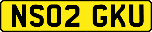 NS02GKU