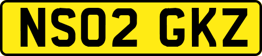NS02GKZ