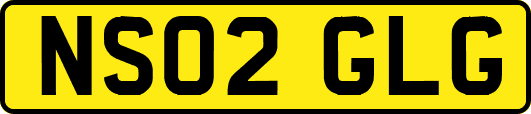 NS02GLG