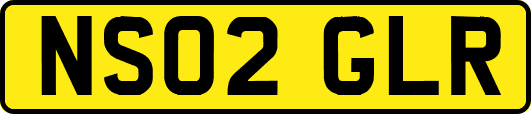 NS02GLR