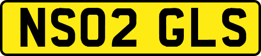 NS02GLS