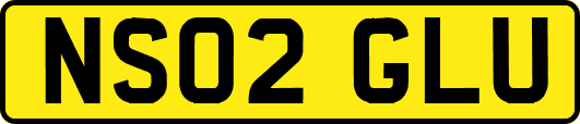 NS02GLU