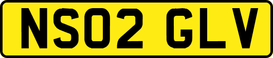 NS02GLV