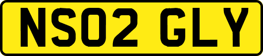 NS02GLY
