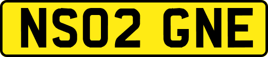NS02GNE