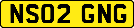 NS02GNG