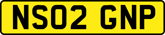 NS02GNP