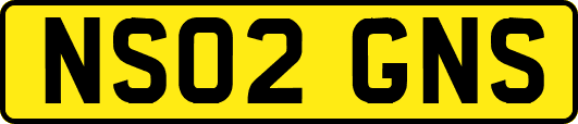 NS02GNS
