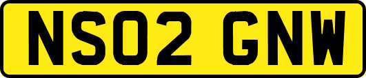 NS02GNW
