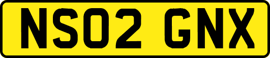 NS02GNX