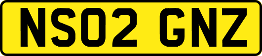 NS02GNZ