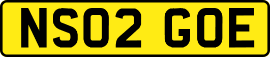 NS02GOE
