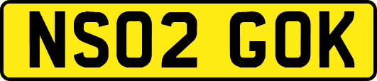 NS02GOK