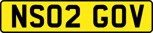 NS02GOV