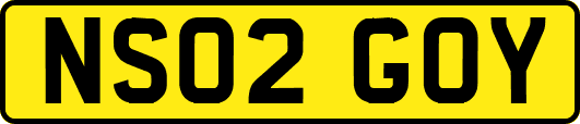 NS02GOY