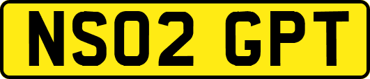 NS02GPT