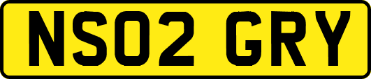 NS02GRY