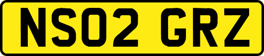 NS02GRZ