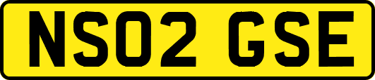 NS02GSE