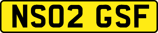 NS02GSF