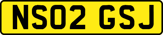 NS02GSJ