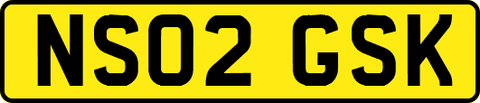 NS02GSK