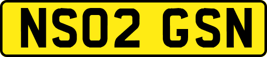NS02GSN