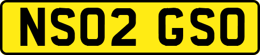 NS02GSO