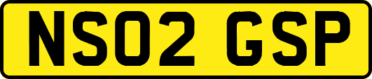 NS02GSP