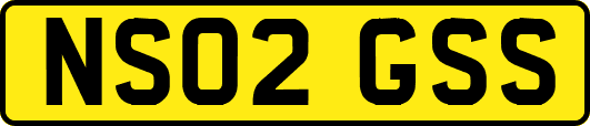 NS02GSS
