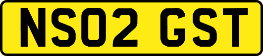 NS02GST