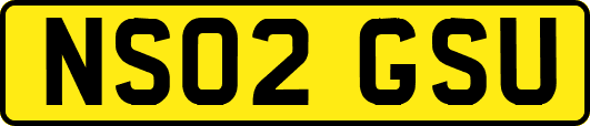 NS02GSU